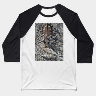 Hairy-necked tiger beetle Baseball T-Shirt